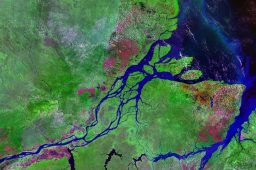 Declaração une líderes internacionais em defesa das águas amazônicas