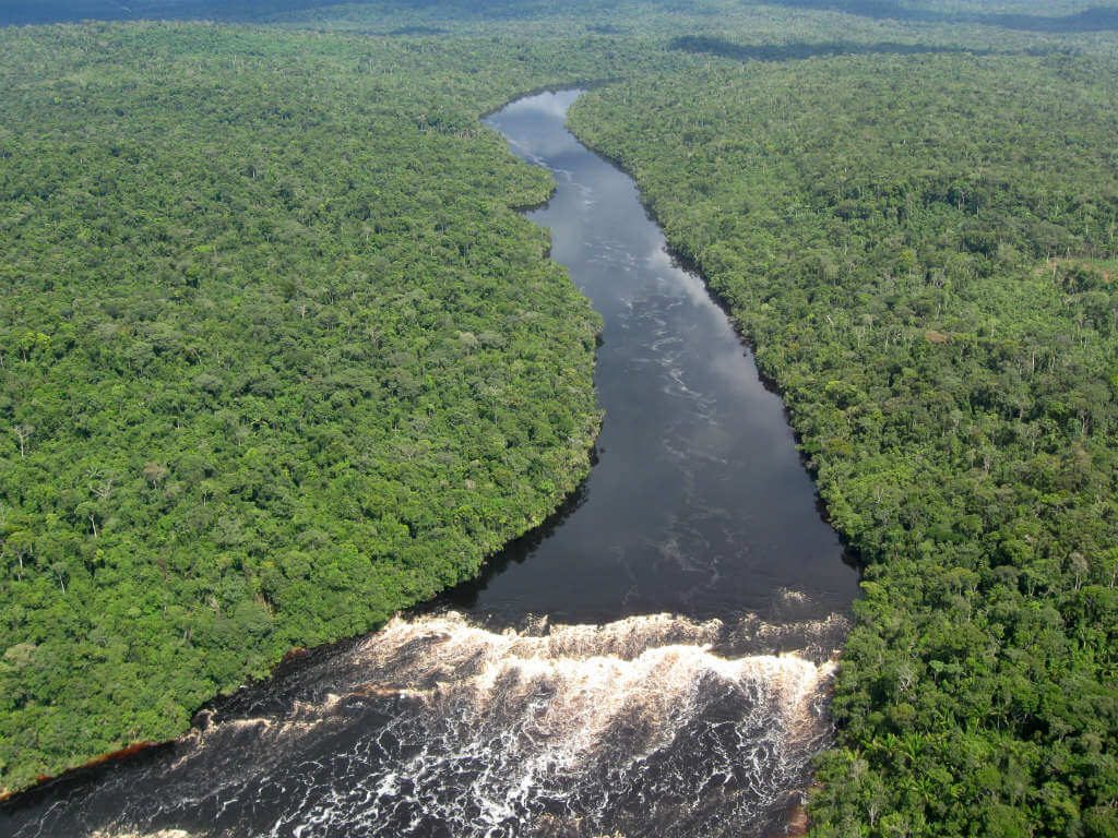 imagem aerea de rio na bacia amazonica