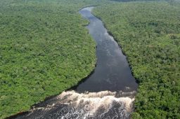 imagem aerea de rio na bacia amazonica