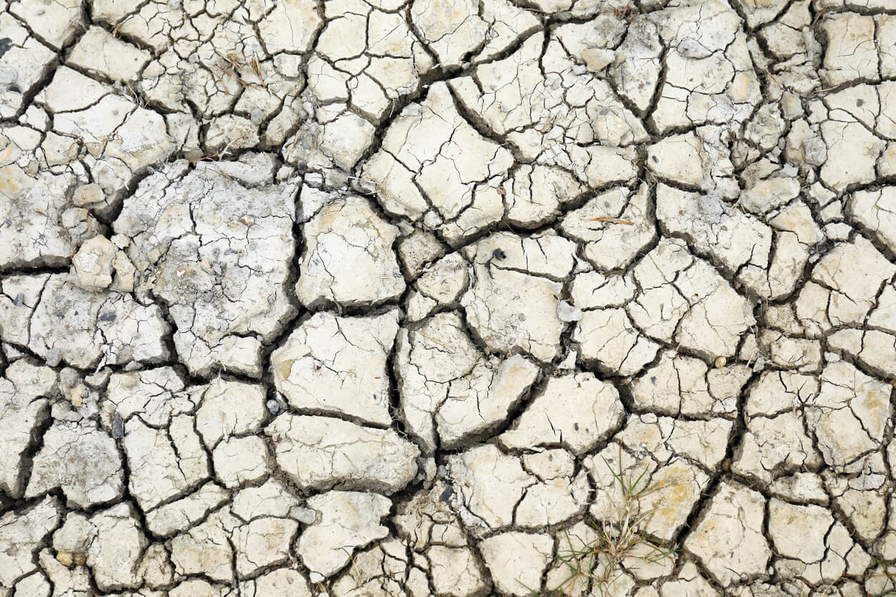 Em três anos, seca no Nordeste causa prejuízo de R$ 103,5 bilhões