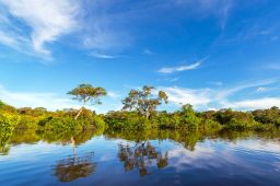 Proteger rios custa US$ 2 por pessoa, afirma organização ambiental