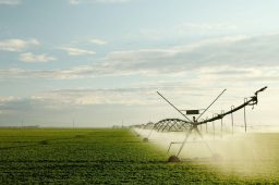 FAO defende água de reúso para impulsionar agricultura