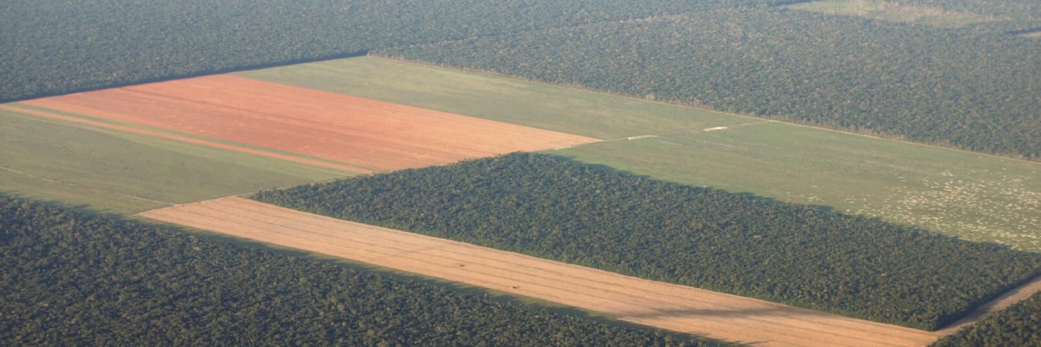 Pesquisadores demonstram como desmatamento na Amazônia altera chuvas