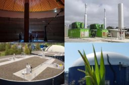 Lodo de estação de tratamento vai gerar 5,8 MW de energia no Paraná