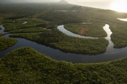 Região oeste da Amazônia era alagada pelo mar do Caribe, revela estudo