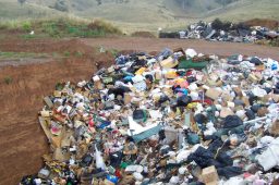 Descarte inadequado de lixo pode custar R$ 4,65 bilhões ao País até 2021