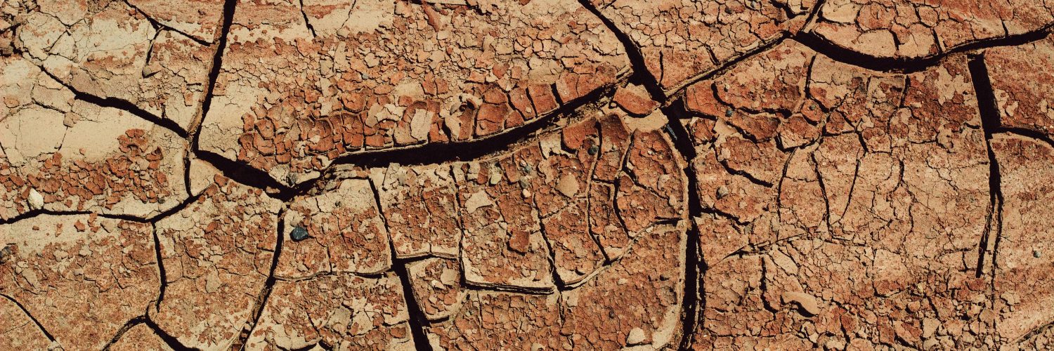 Seca prolongada compromete áreas agrícolas e indica risco de desertificação
